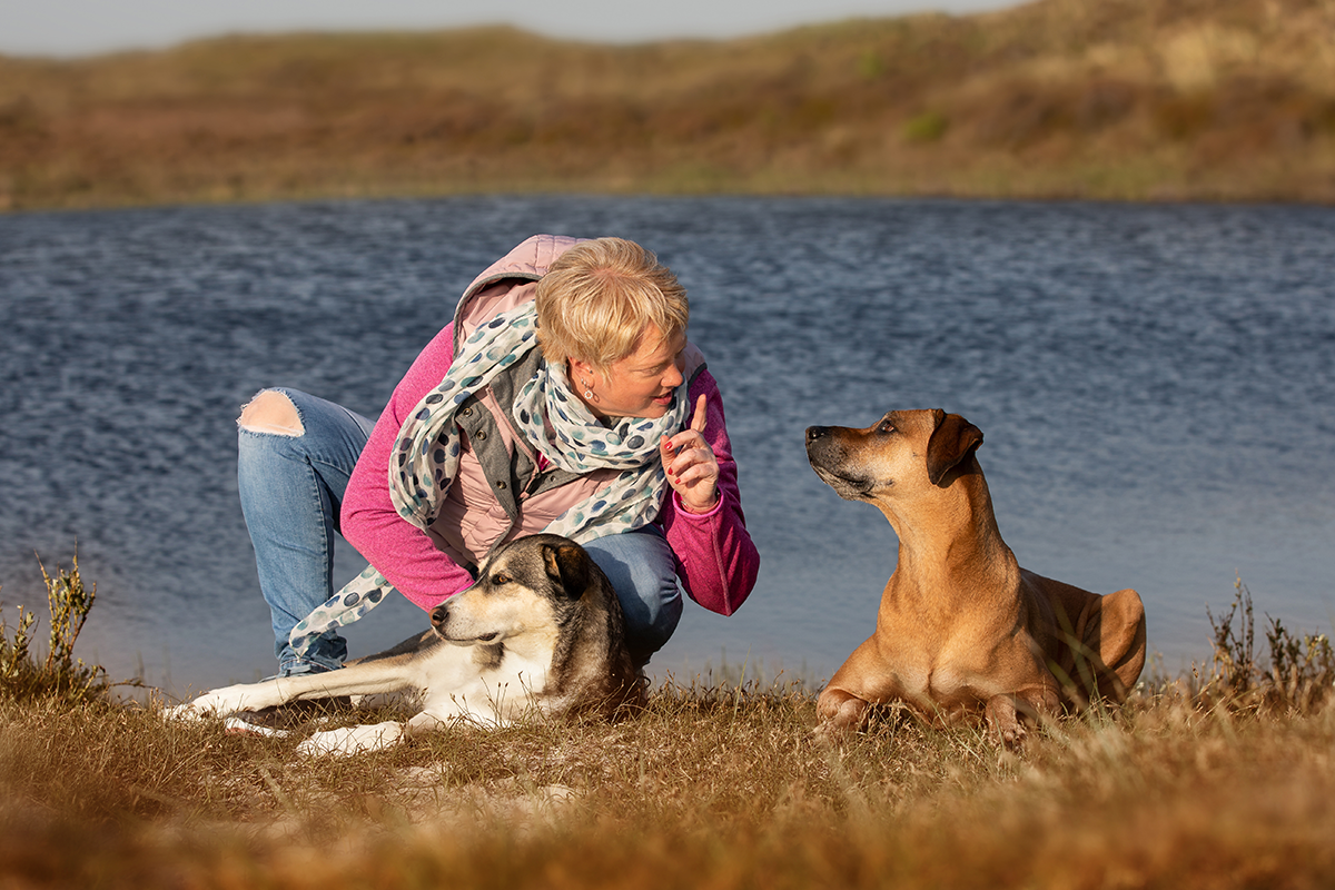 gesunder-hund-anfrage-coaching