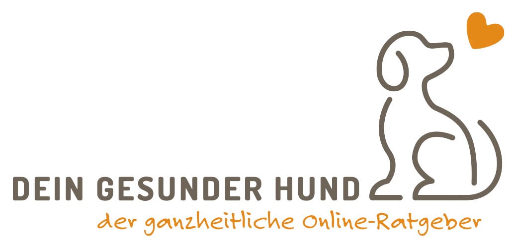 Dein gesunder Hund