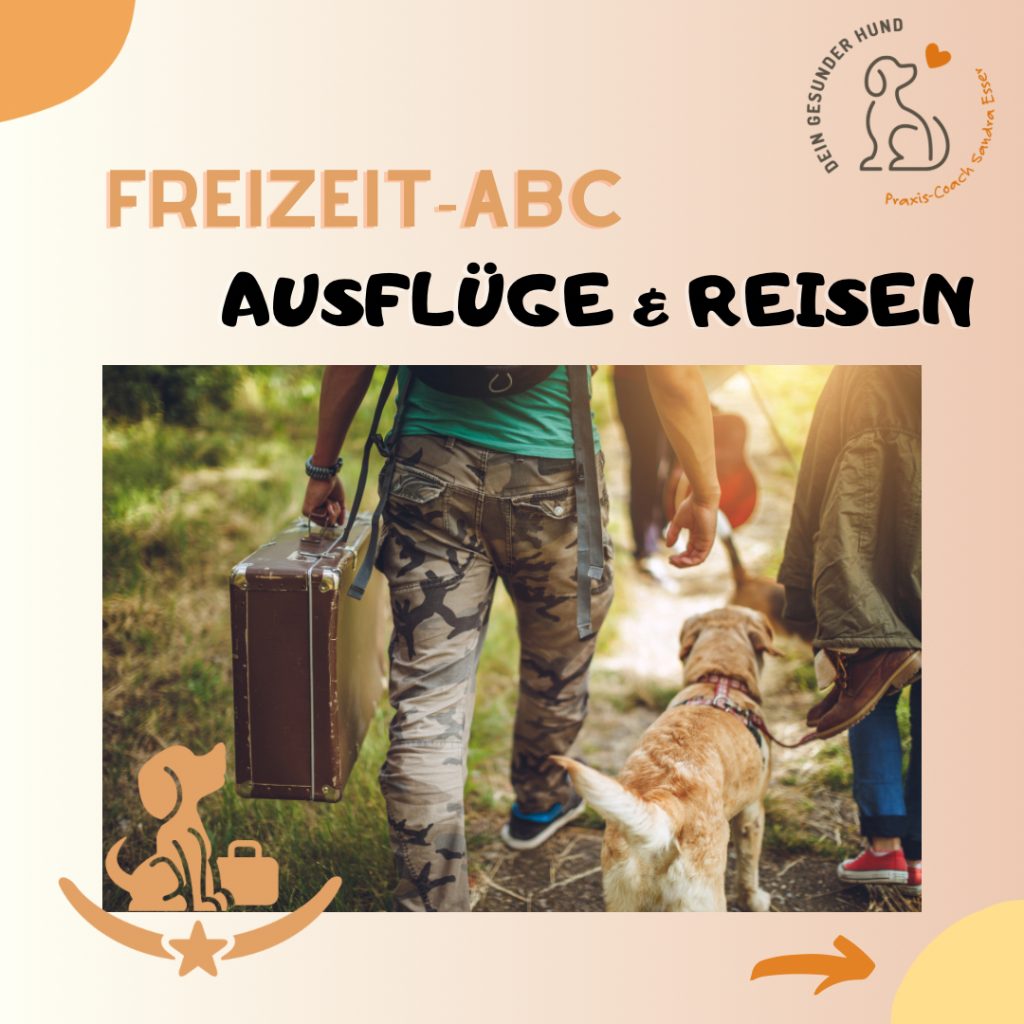 Freizeit-ABC-01