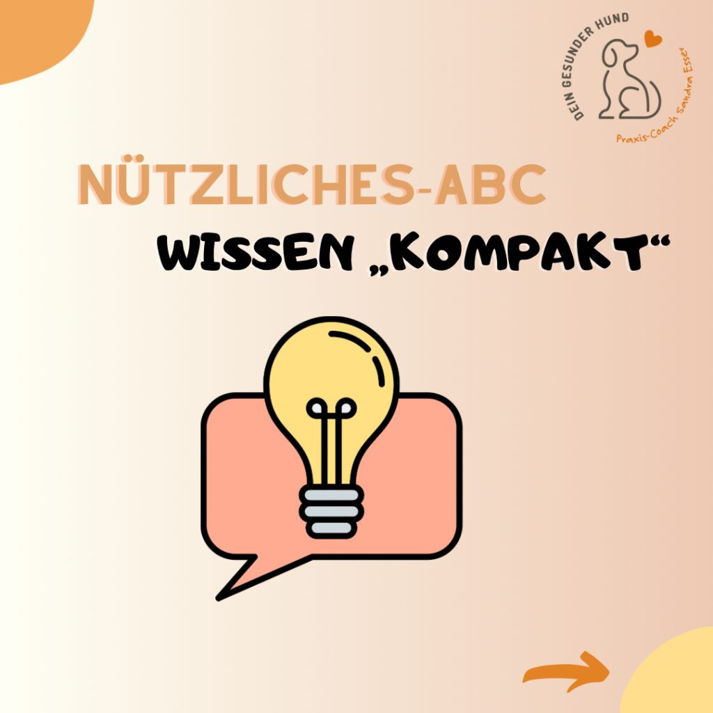 Nuetzliches-ABC-01