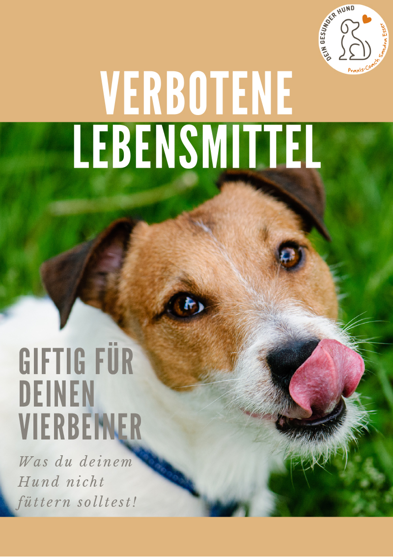 Verbotene-Lebensmittel-PDF