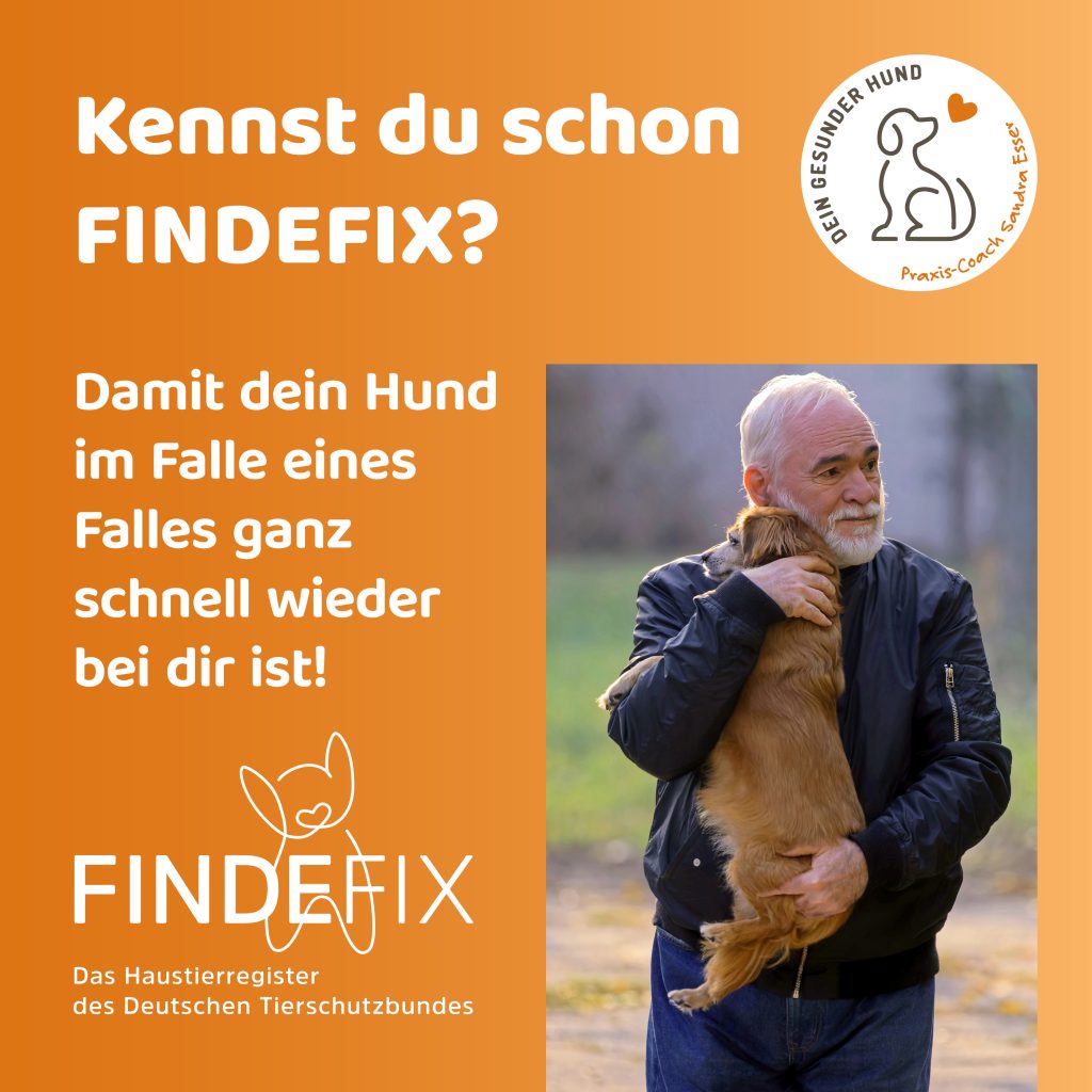 FindeFix-1