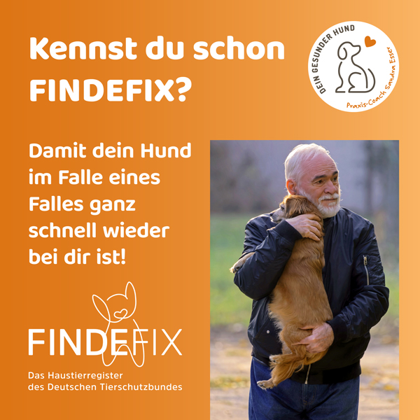 FindeFix-Beitrag