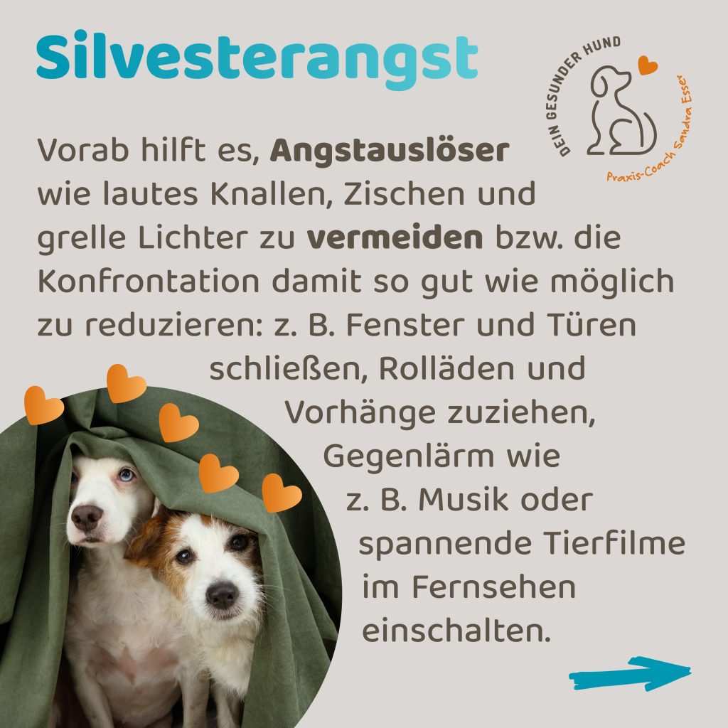 Silvester-mit-Hund-2