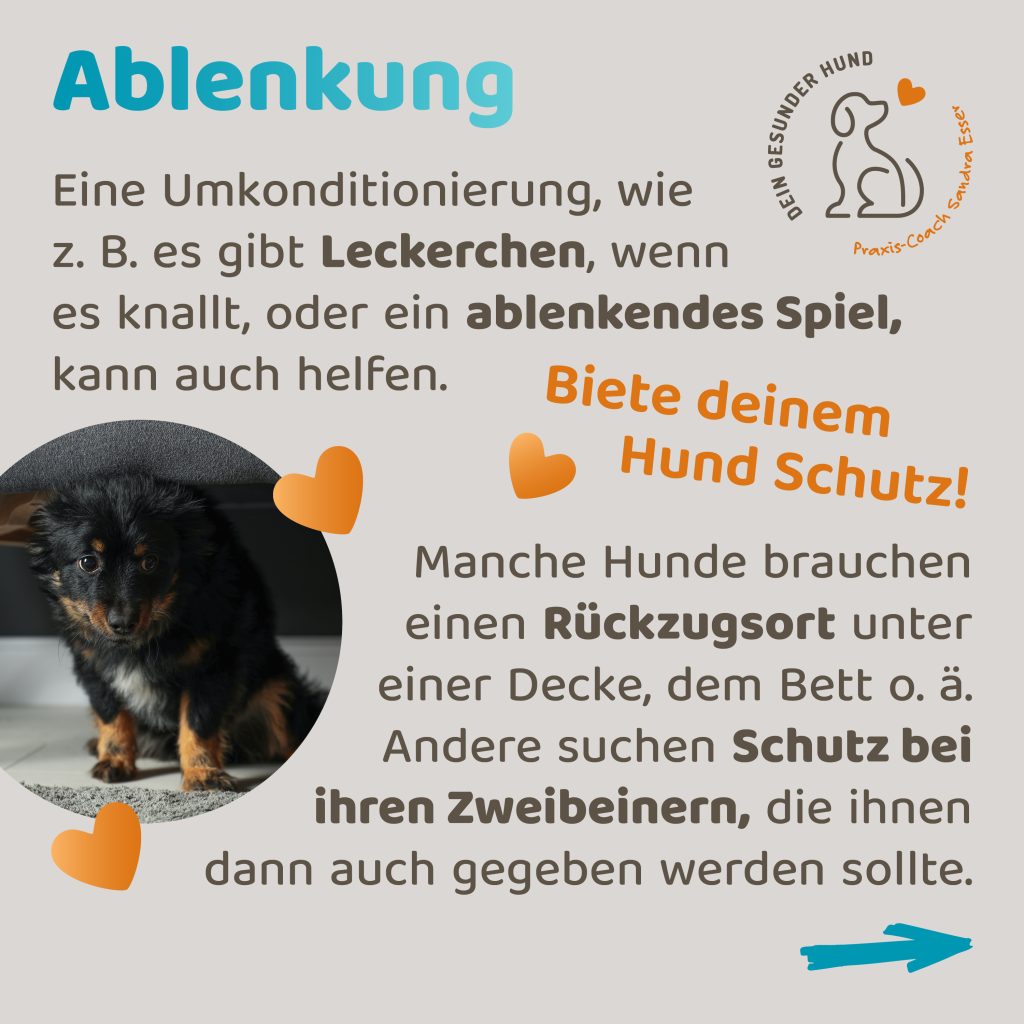 Silvester-mit-Hund-3