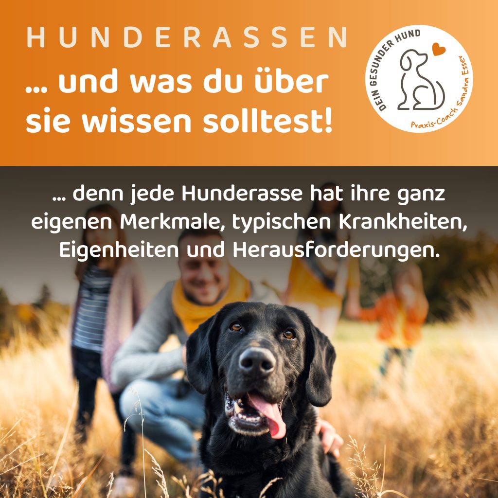 Uebersicht-Hunderassen-1