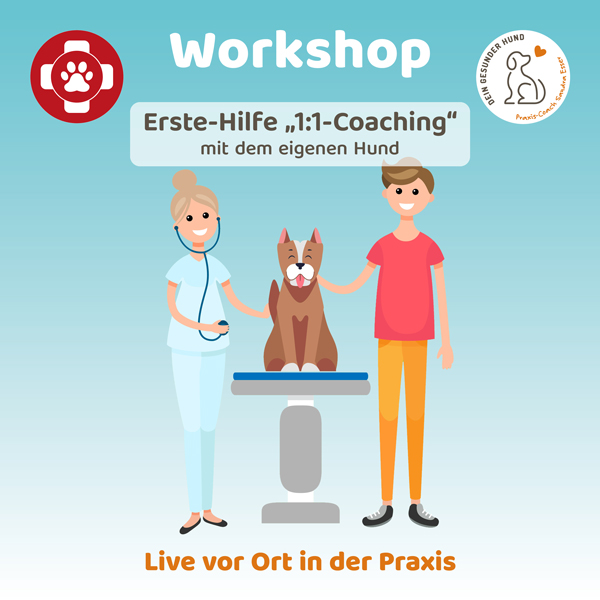 Workshop-ErsteHilfe-mitHund-Beitrag