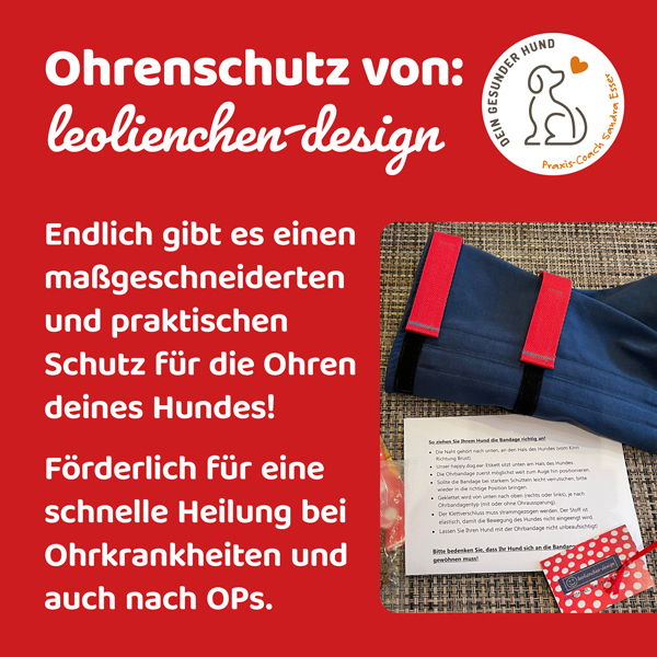 leonienchen-Ohrenbandage-Beitrag