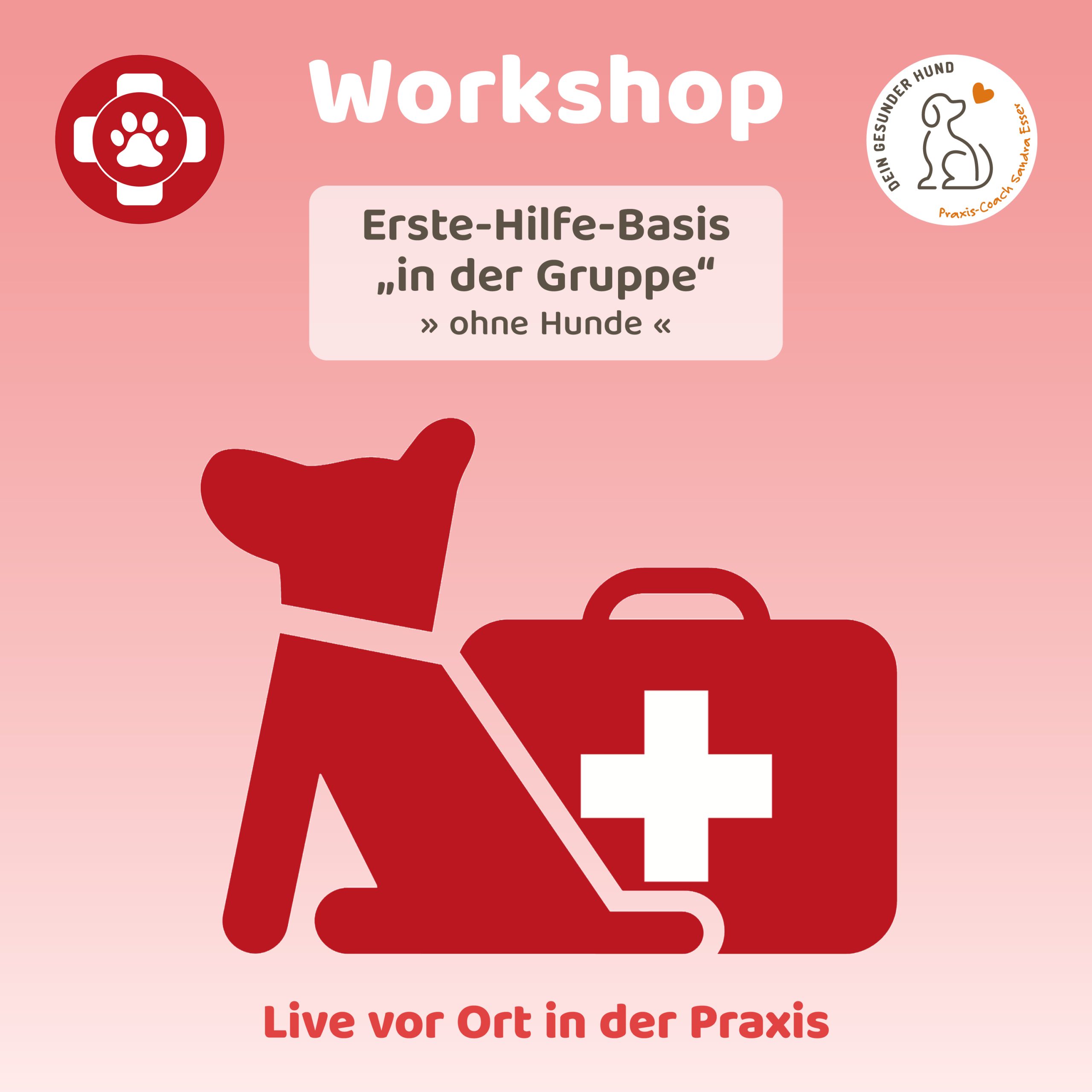 Workshop-ErsteHilfeBasis-Gruppe