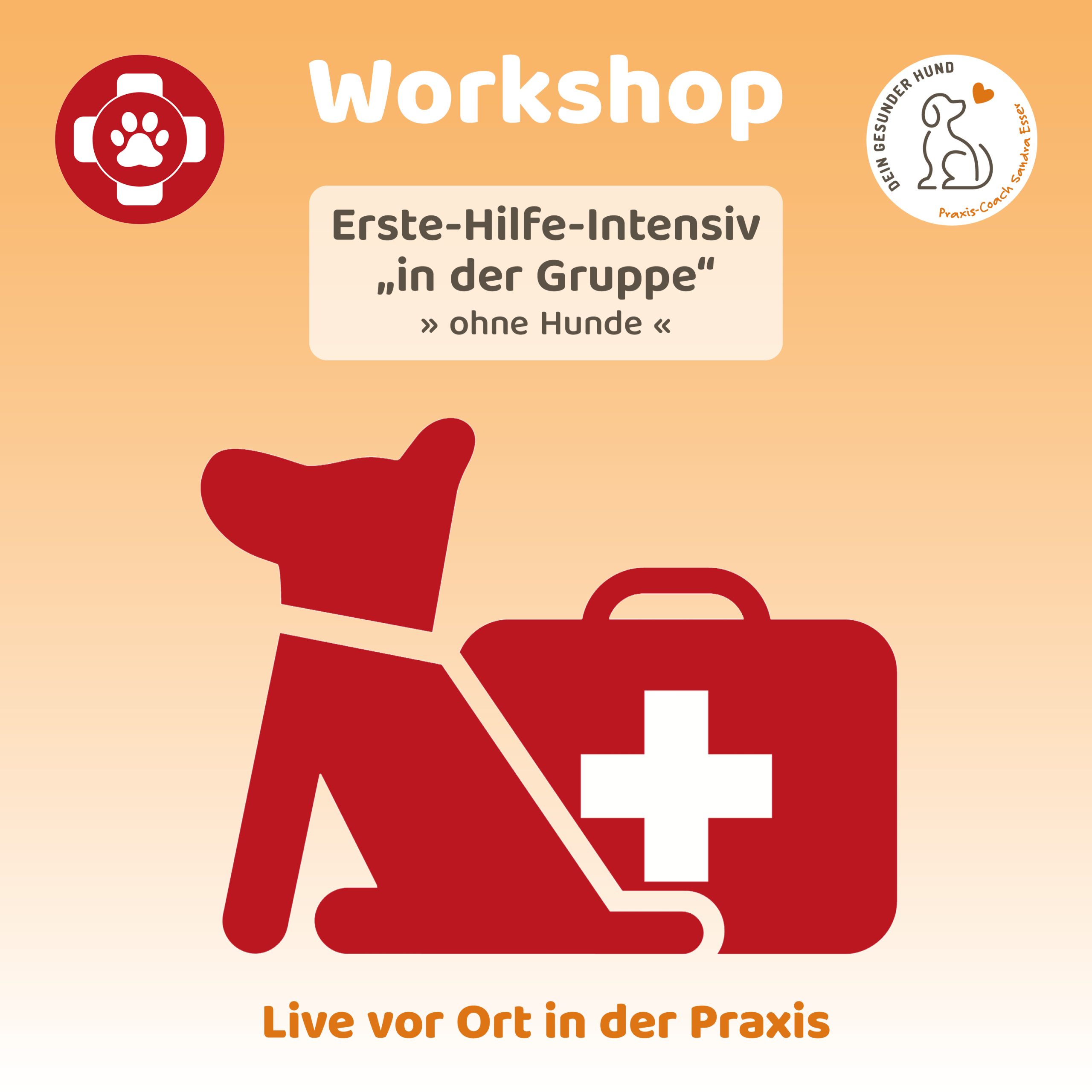 Workshop-ErsteHilfeIntesiv-Gruppe