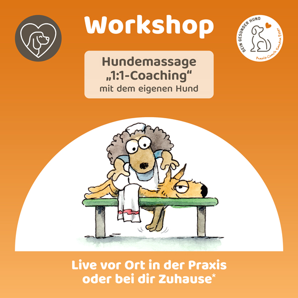 Workshop-Massage-mitHund-JZ-Beitrag