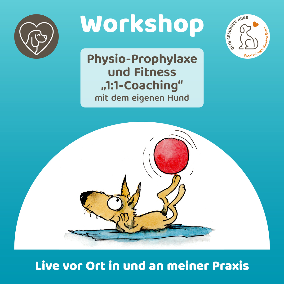 Workshop-Physio-mitHund