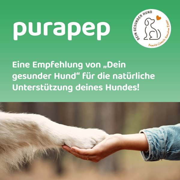 purapep-start-beitrag