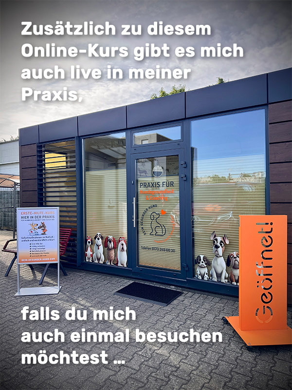 DeinGesunderHund-ErsteHilfe-01-mitText