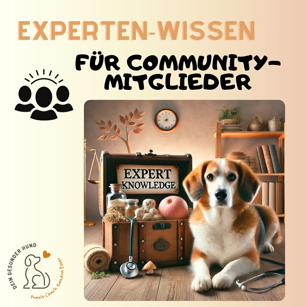 expertenwissen-beitrag