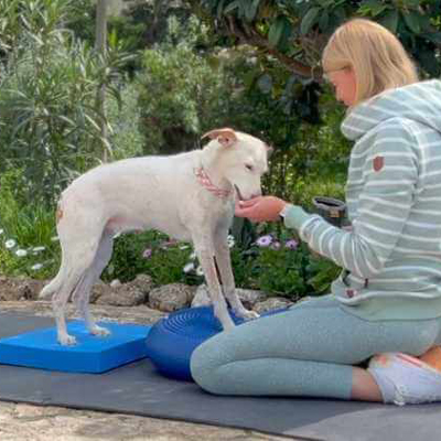 Doggy-Fitness-Beitrag