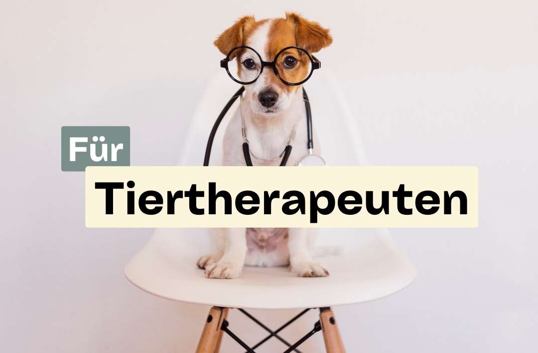 TierTherapeuten